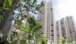 兴丽城最新爆料新闻,揭秘神秘项目背后的惊人真相